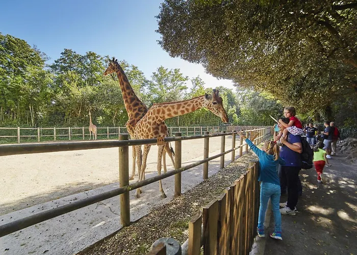 Vue A 900m De La Pour 3